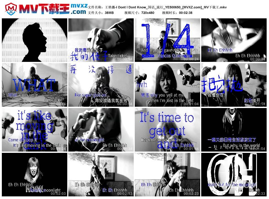 王艳薇-I Dont I Dont Know_国语_流行_YE500650